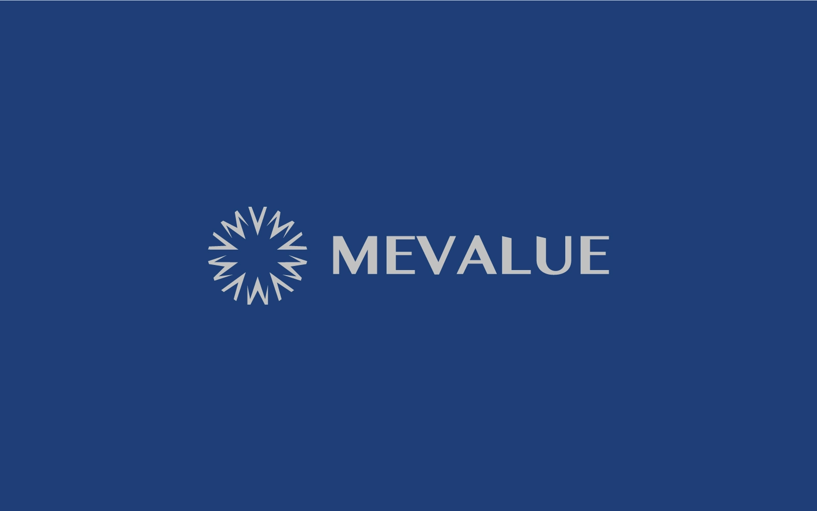 MEVALUE project by Netromania